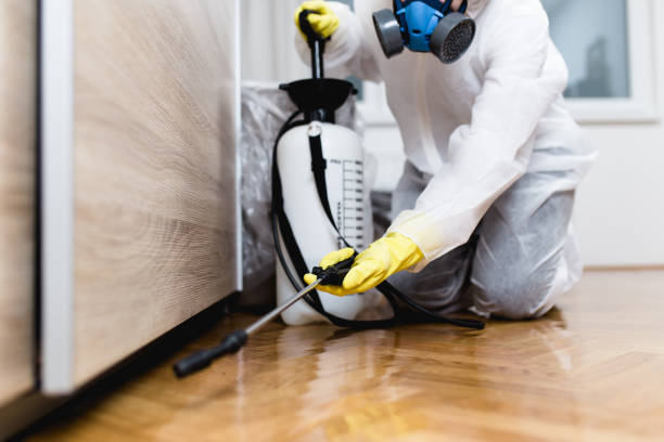 Best Residential Pest Control  in Brock Hall, MD