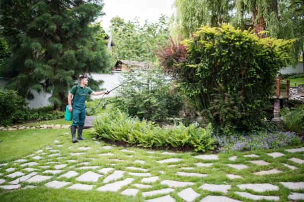 Best Wildlife Control Services  in Brock Hall, MD