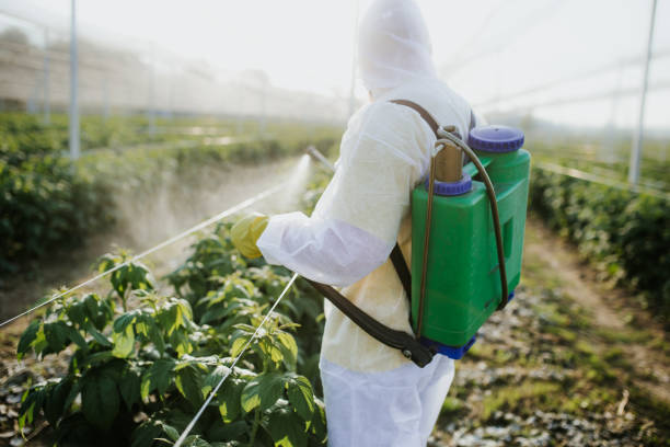 Best Pest Prevention Services  in Brock Hall, MD